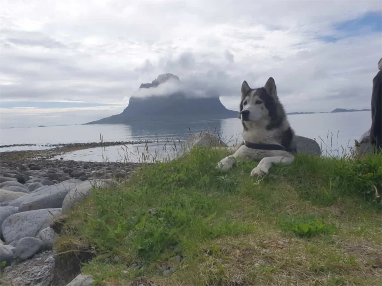 Anouk auf Vega Norwegen